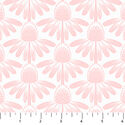 Coneflower in Blush