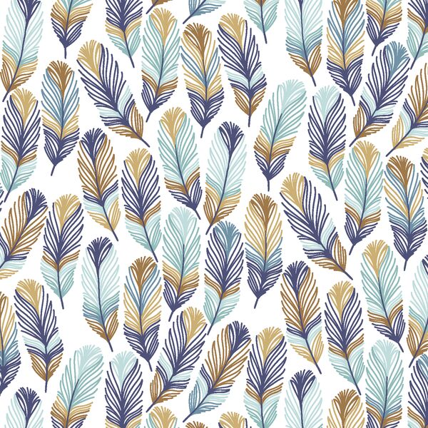 Feathers in Northern Trails