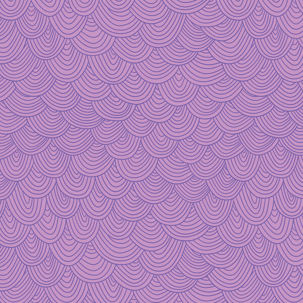 Scallop in Orchid
