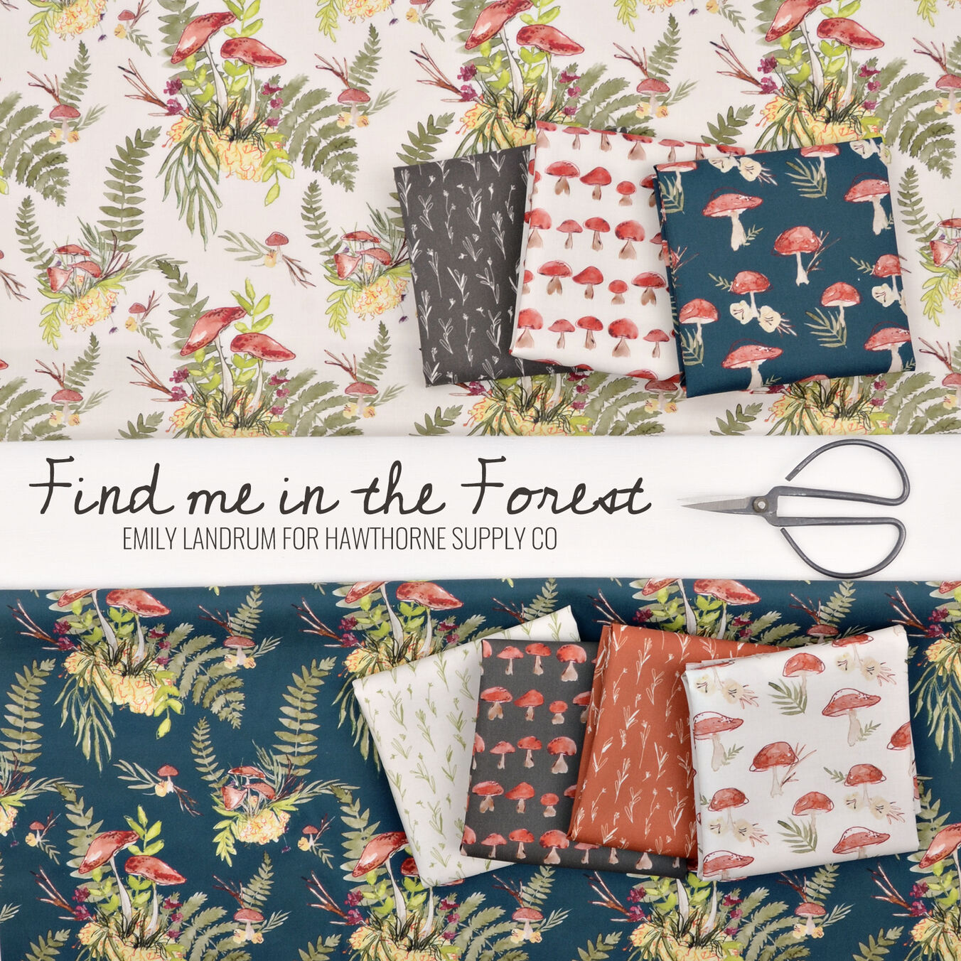 Find Me in the Forest Poster Image