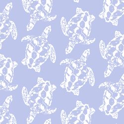 Honu in Tidal