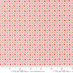 Check in Blush