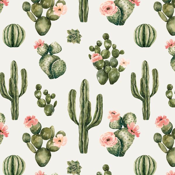 Blooming Desert in Cloud