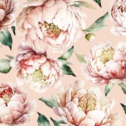 Large Peony Lane in Shell