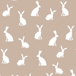 Cottontail Silhouette in Sand