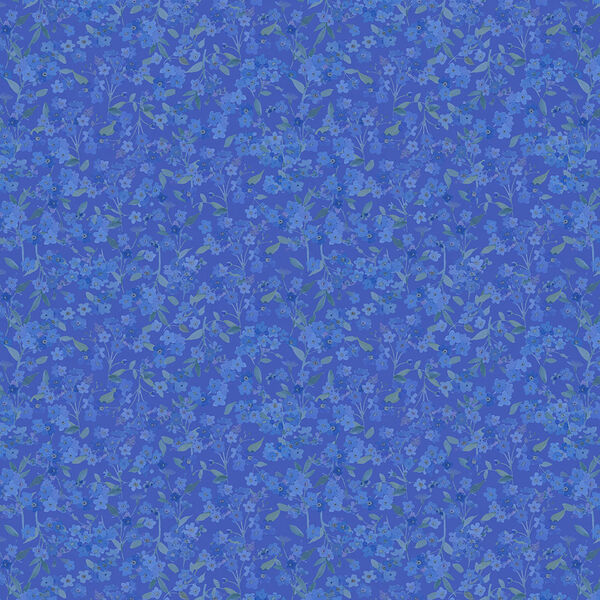 Forget-Me-Not in Blue