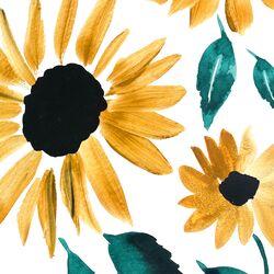 Large Blooming Sunflowers in Sunset Garden
