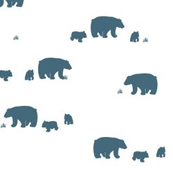 Bear Silhouette in Lake