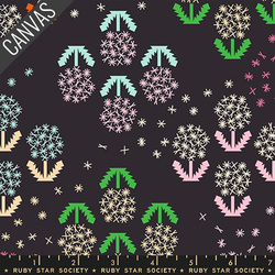 Wishes Canvas in Soft Black