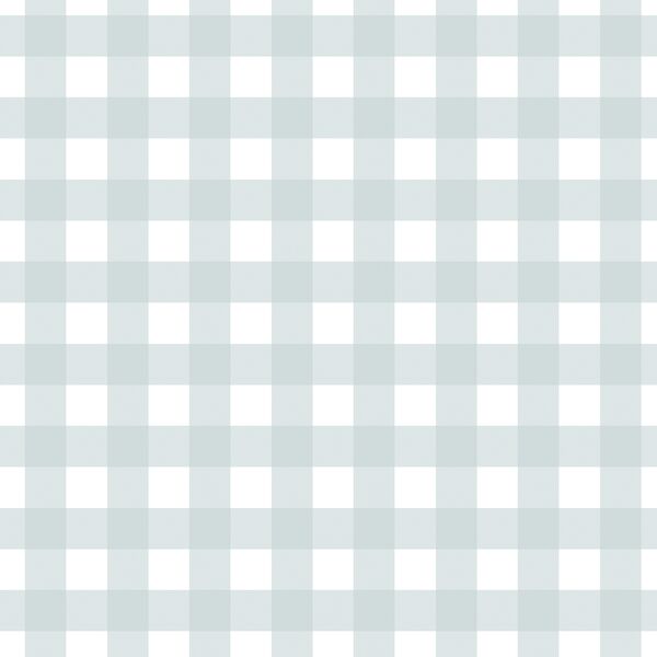 Gingham in Soft Sky