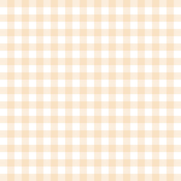 Gingham in Peach