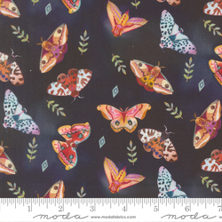 Moth Array in Night Sky