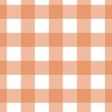 Large Gingham in Papaya
