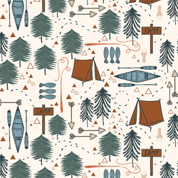 Camp in Lake Life
