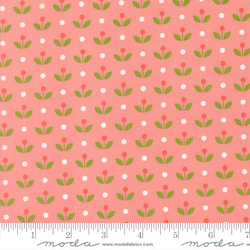 Mayfair Ditsy in Blush