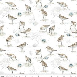 Birds in White