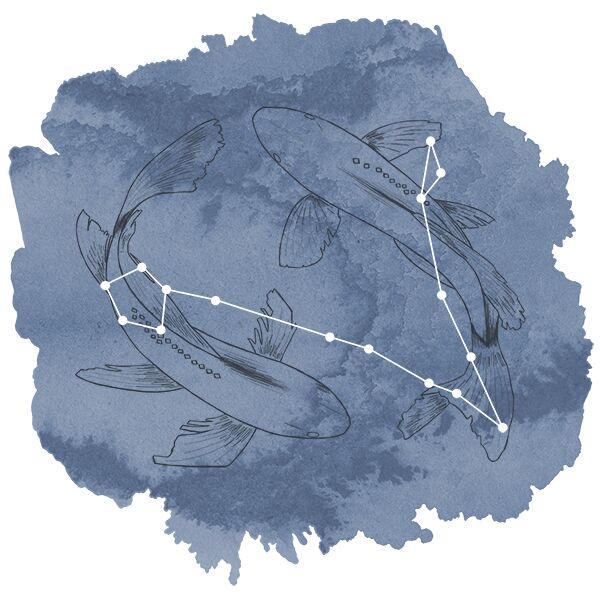 Pisces Panel in Midnight