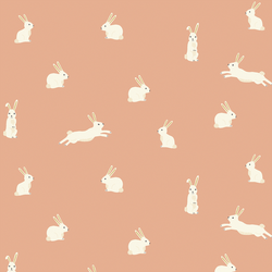Bunny Rabbits in Peachy