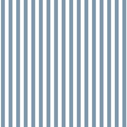 Dress Stripe in Dusk