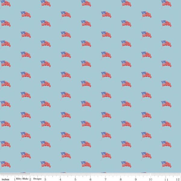 USA Flags in Blue