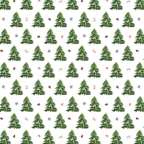 Little Tree Farm in Winter