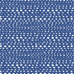 Little Skipping Stones in Blue Jay