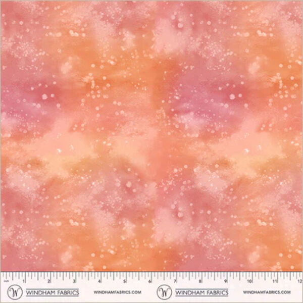 Underwater in Coral