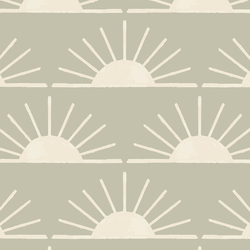 Large Horizon in Summer Sage