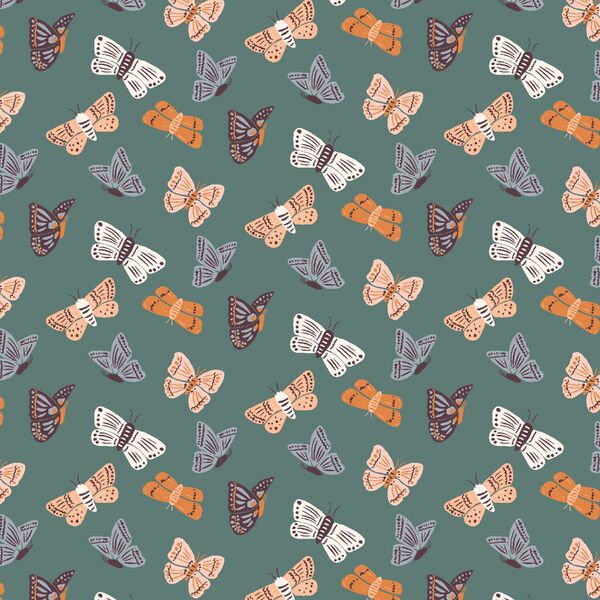 Fall Moths in Juniper Green