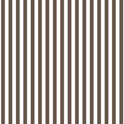 Dress Stripe in Timber