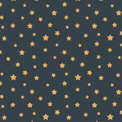 Stars in Midnight Sky