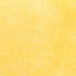 Palette in Little Yellow