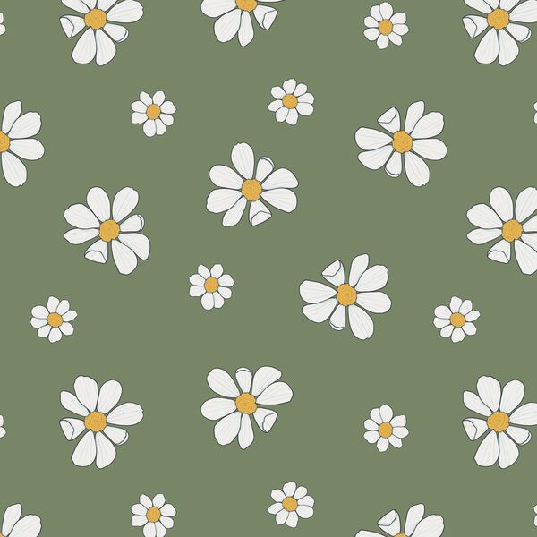 Daisies in Soft Green