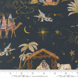 Silent Night in Night