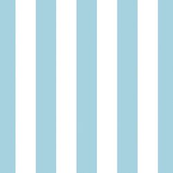 Play Stripe in Robins Egg