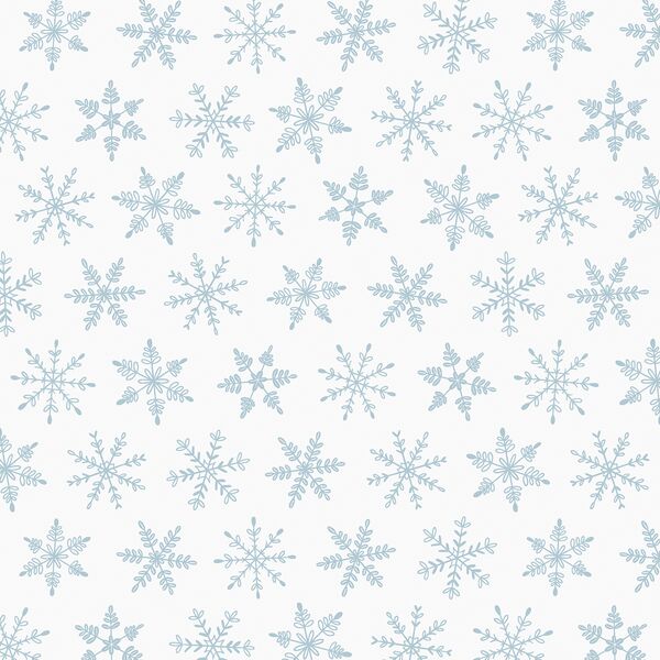 Snowfall in Frost on Snow