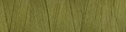 Medium Olive