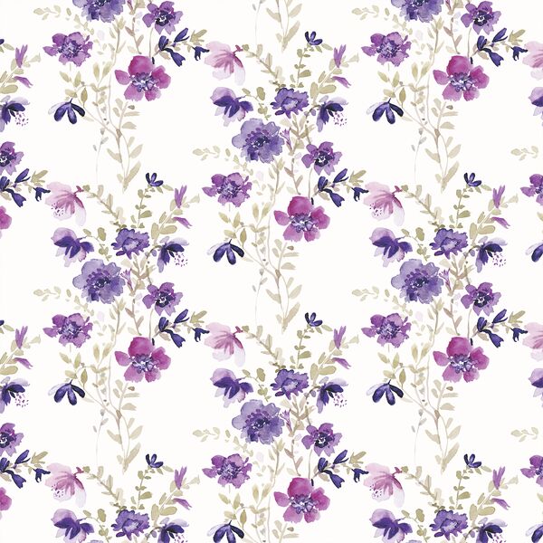 Little Hello Beautiful in Clematis