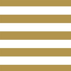 Horizontal Play Stripe in Marigold