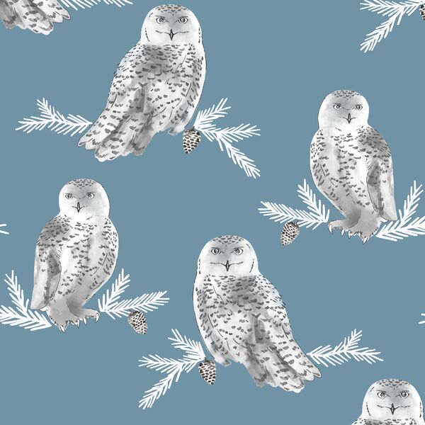 Snowy Owl in Marine