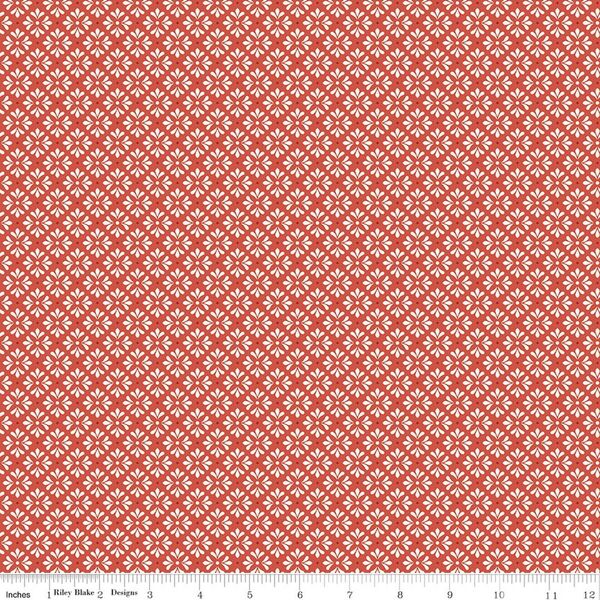 Graphic in Coral