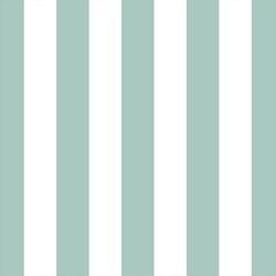 Play Stripe in Aspen