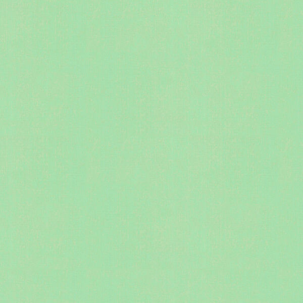 Bella Solids in Cool Mint