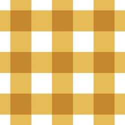 Summer Gingham in Golden Sun