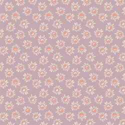 Susans in Lilac