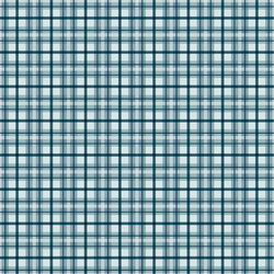 Plaid in Blue