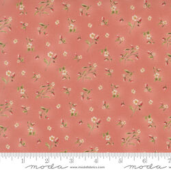 Berry Bramble in Rose
