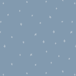 Starlight in Slate Blue