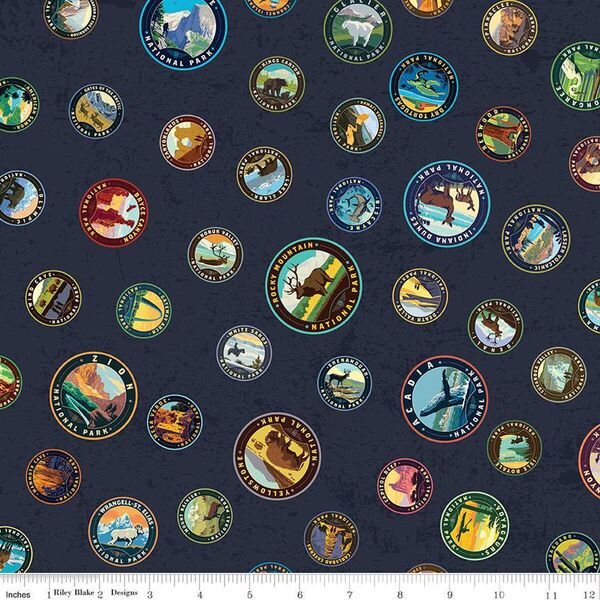 Emblems in Navy