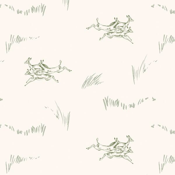 Jumping Impala in Thicket